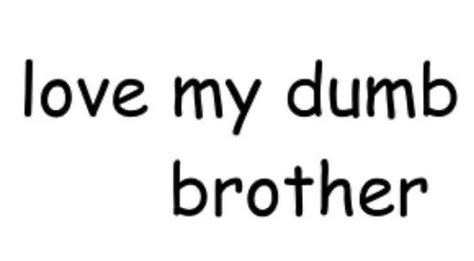 my brother is stupid song.